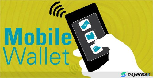 巴基斯坦电子钱包支付通道解析